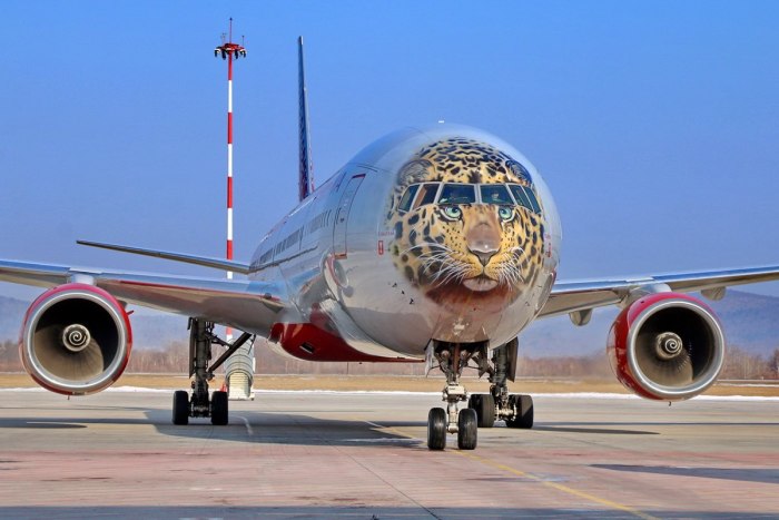 Леолëт Боинг 777
