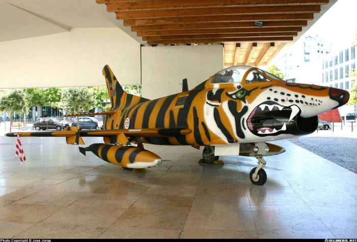 G91 Tiger
