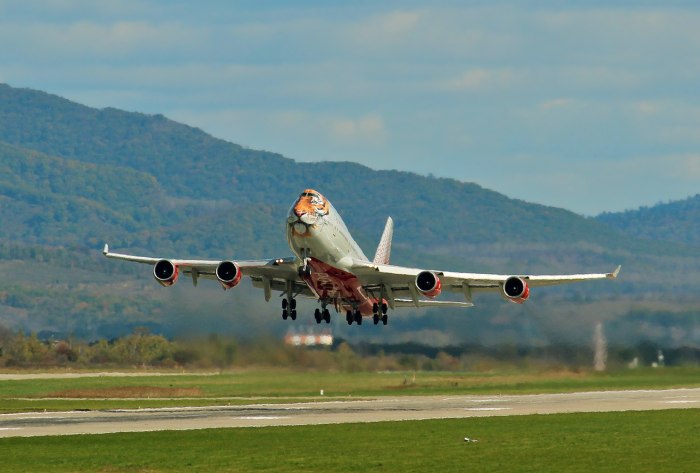 Боинг 747 Амурский тигр