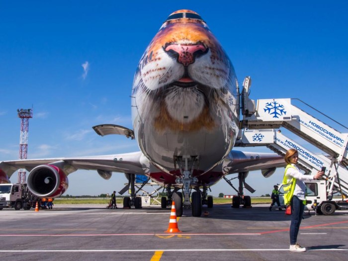 Боинг 747 Амурский тигр