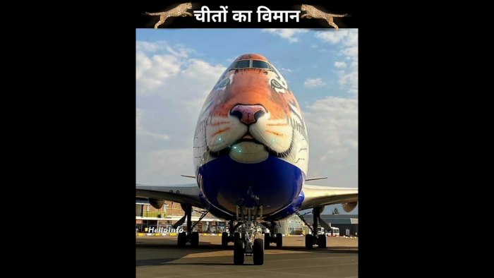 Часы Flying Tigers