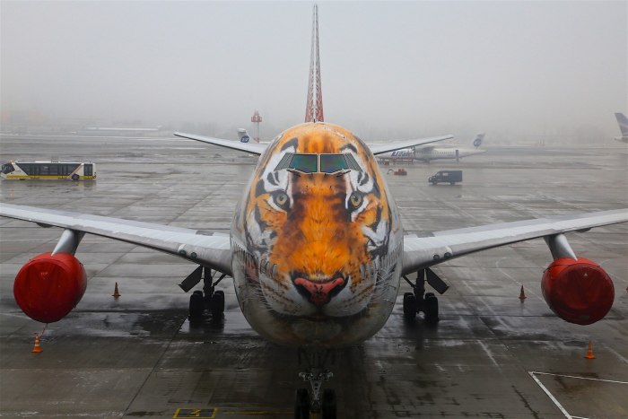 Boeing 747 тигр
