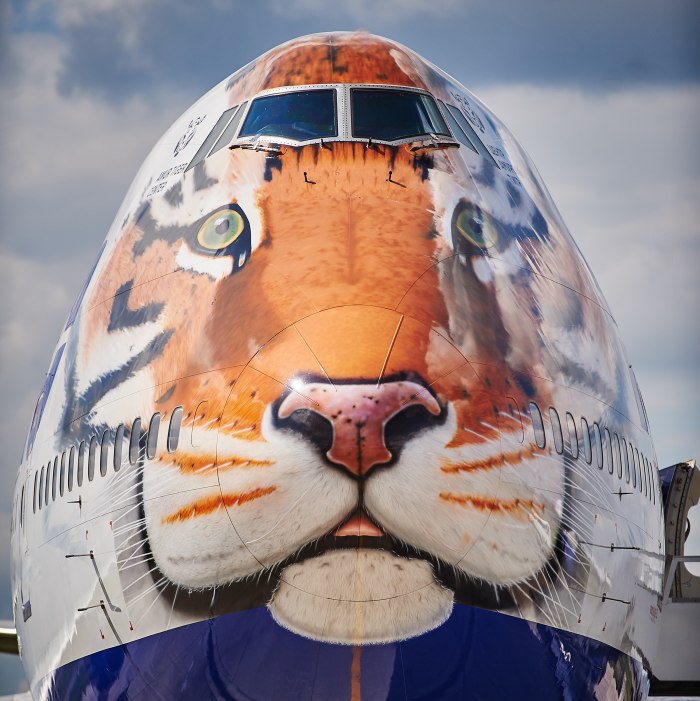 Боинг 747 Амурский тигр