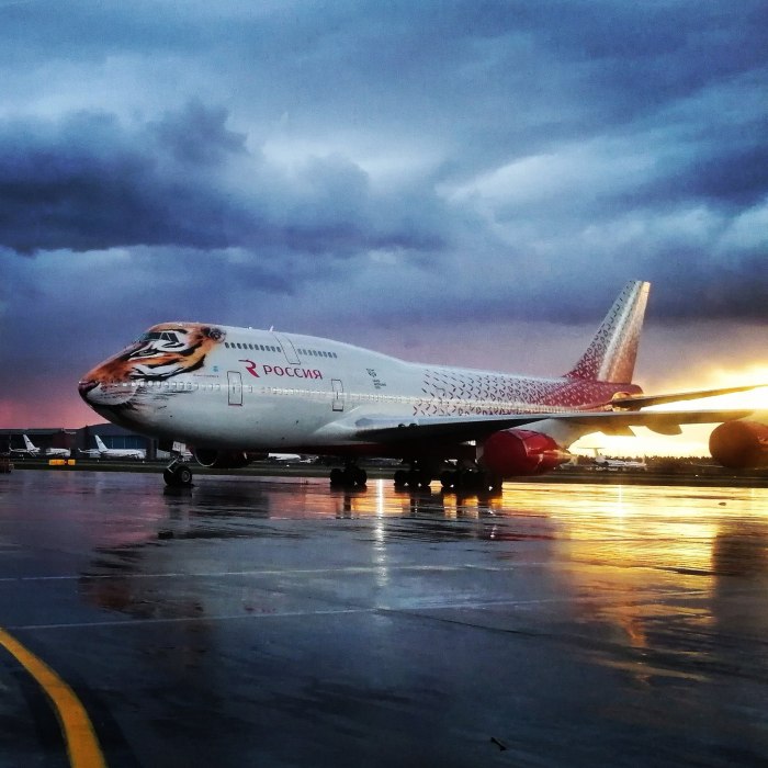 Самолёт Boeing 747 тигр