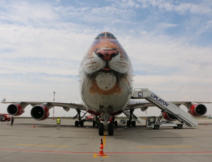 Боинг 747 Тигролет