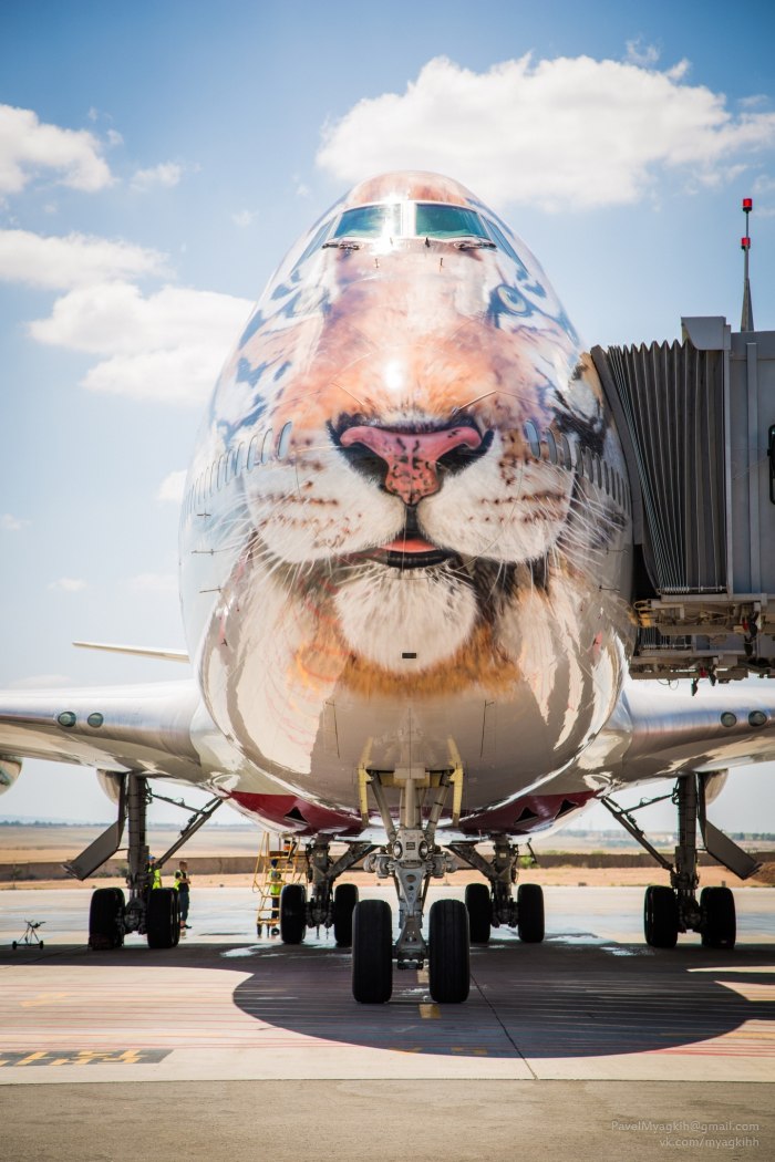 Боинг 747 Тигролет