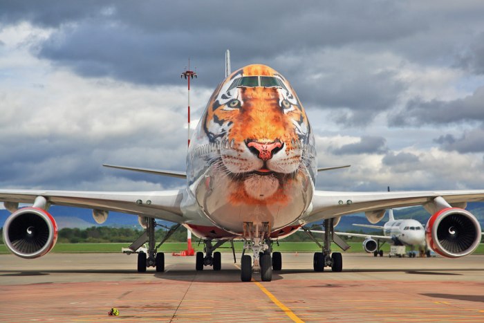 Боинг 747 с тигром Россия
