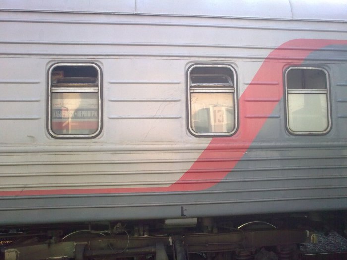 Поезд 131у Орск Москва вагоны