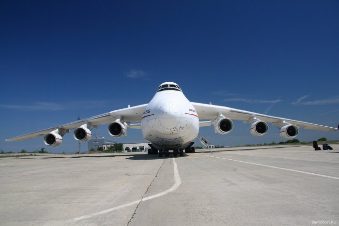 Самолета-гиганта АН-225 «Мрия».