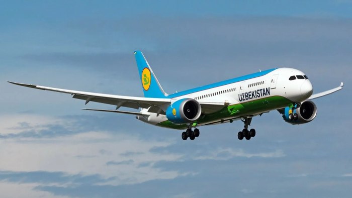 Boeing-787-8 узбекские авиалинии