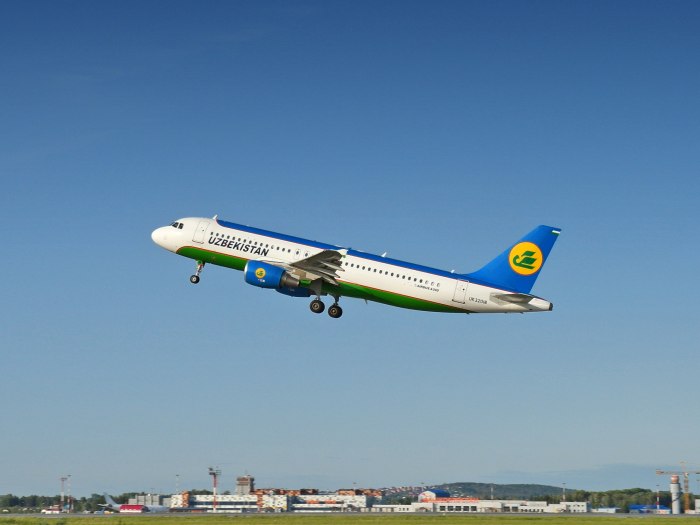 Аэробус 320 Узбекистан хаво йуллари
