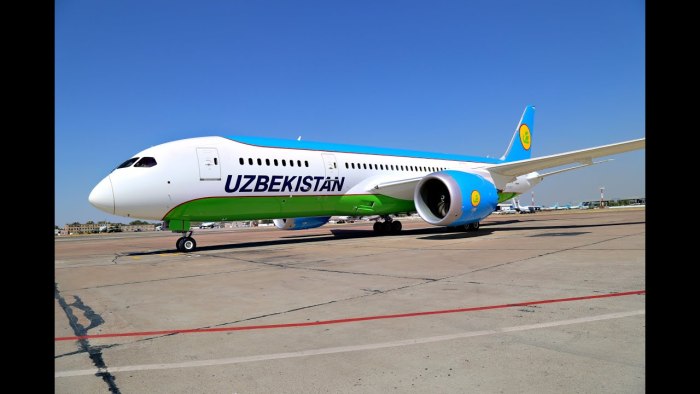 Dreamliner Boeing-787 Uzbekistan