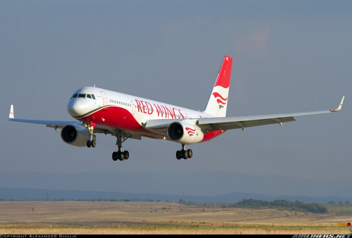 Ту 204 100 Red Wings
