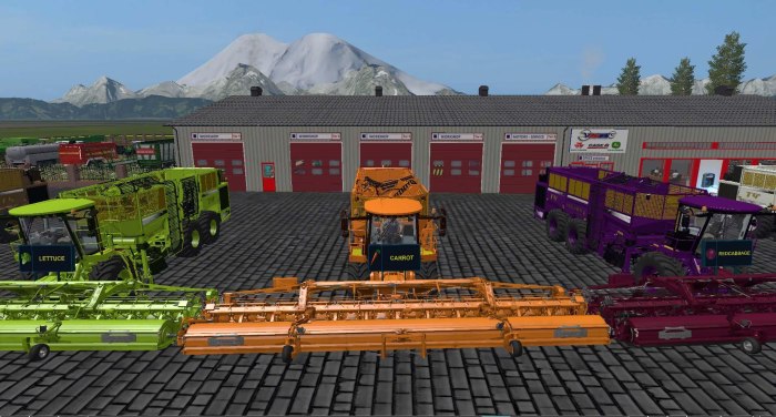 FS 17 картофелеуборочный комбайн Холмер