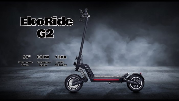 Kugoo g2 Pro 2021