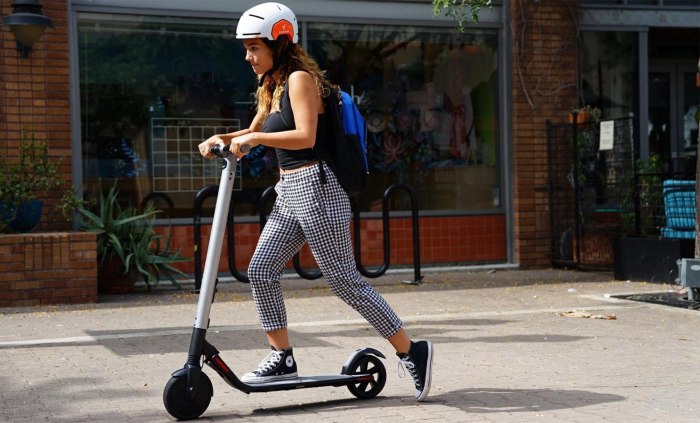 Ninebot by Segway es1