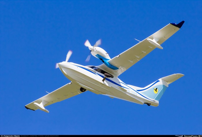 Самолет-амфибия л-42 "Чайка"