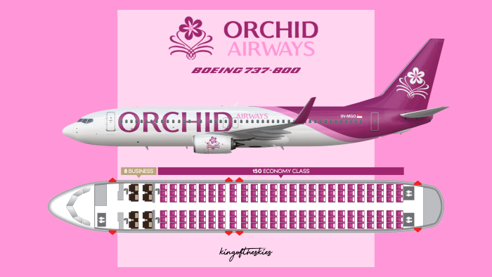 Аэробус 737-800 схема салона
