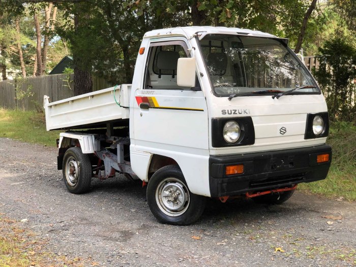 Suzuki carry 1989