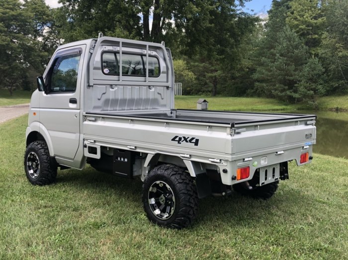 Suzuki Mini Truck