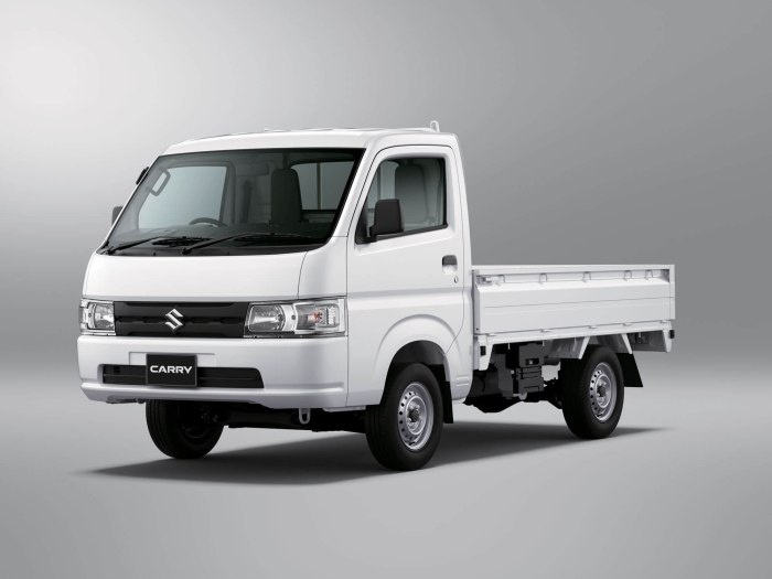 Suzuki carry Truck 2019