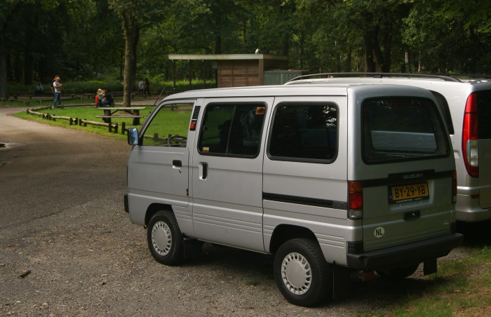 Suzuki carry