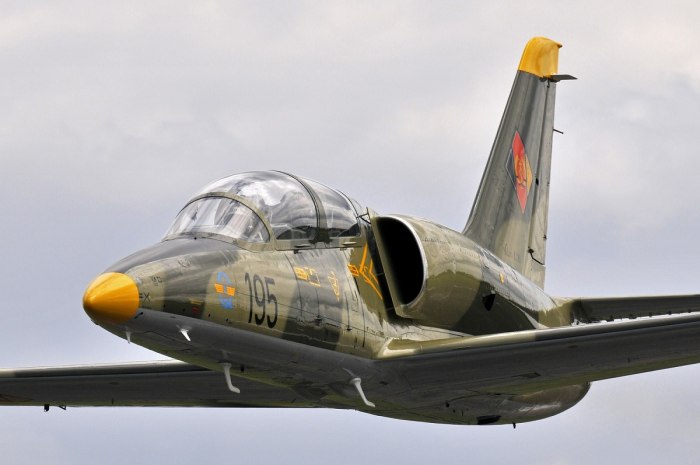 Истребителе l-39