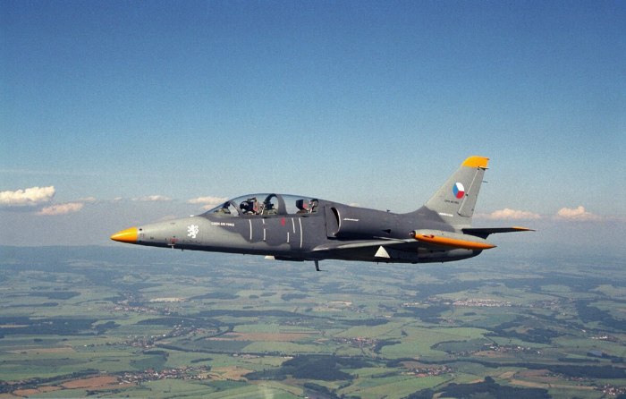 L-39 Albatros самолет