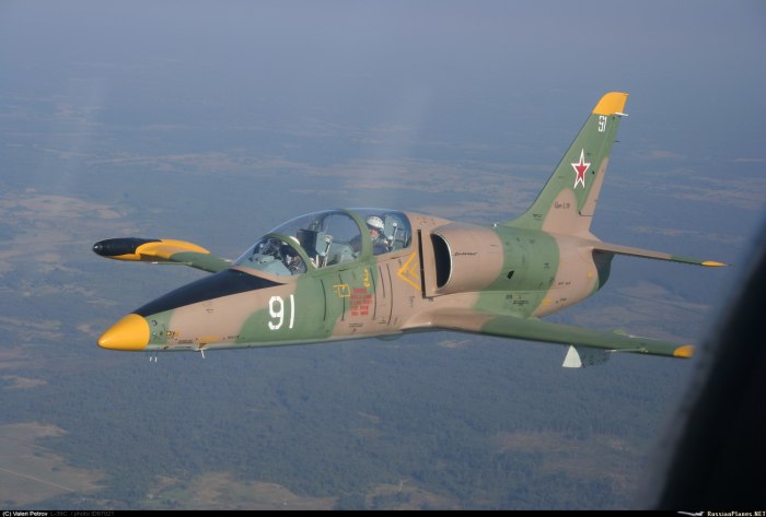 L-39 Albatros самолет