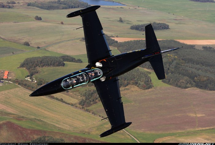 L-39 Albatros самолет