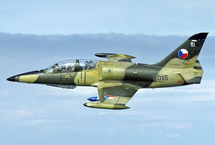 Самолëт l-39 Альбатрос