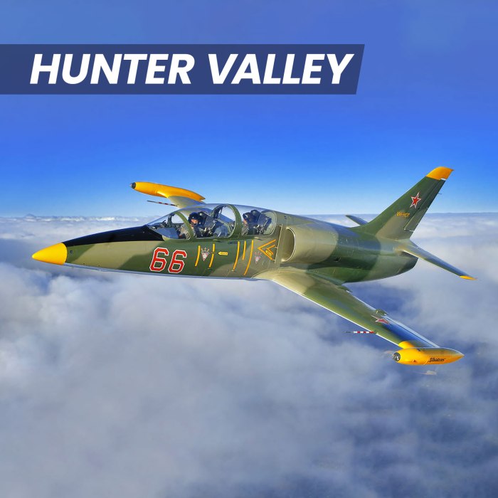 L-39 Albatros самолет
