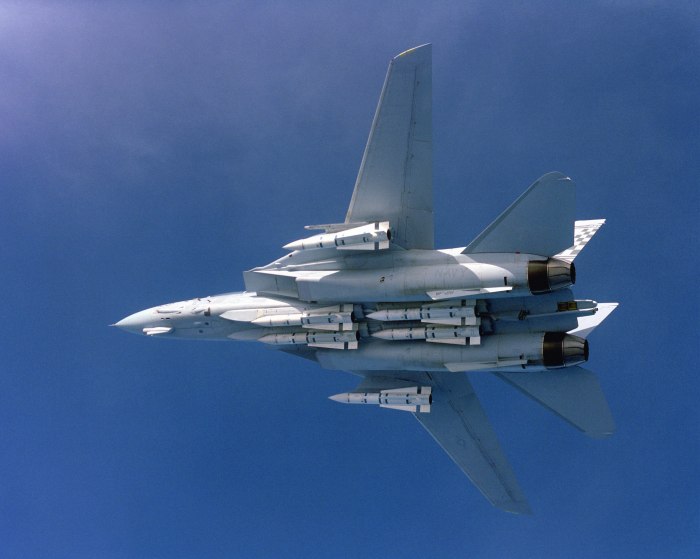 Самолет f-14a Tomcat