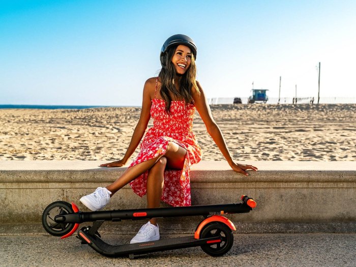 Segway Ninebot es1