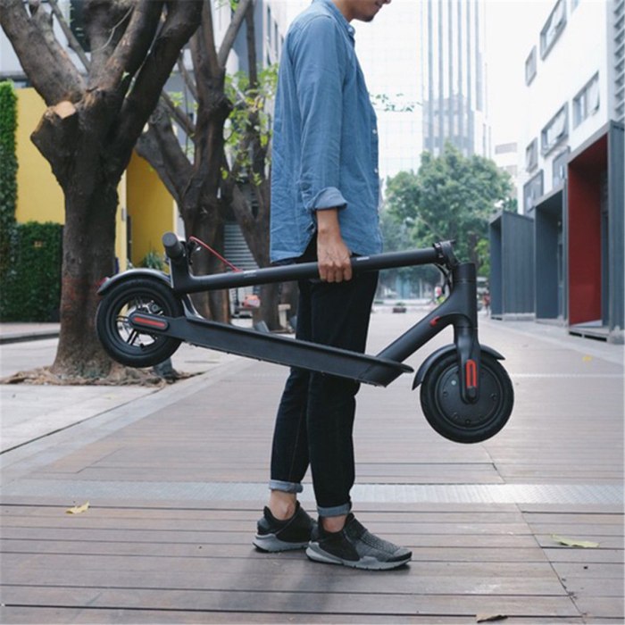 Xiaomi Mijia Electric Scooter m 365