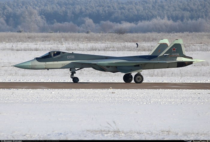 Сухой т-50