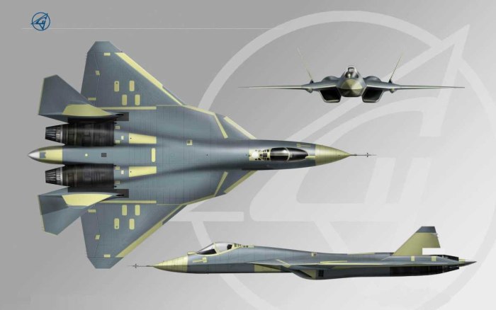 Самолёт пак фа т-50