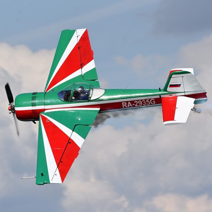 Fokker пилотажный самолёт