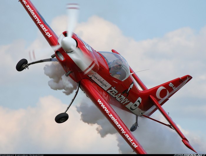 Zelazny Aerobatic Team