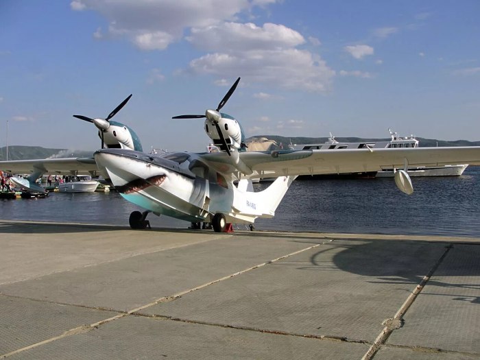 Самолет амфибия l65