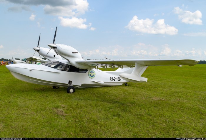 Самолет-амфибия л-42 "Чайка"