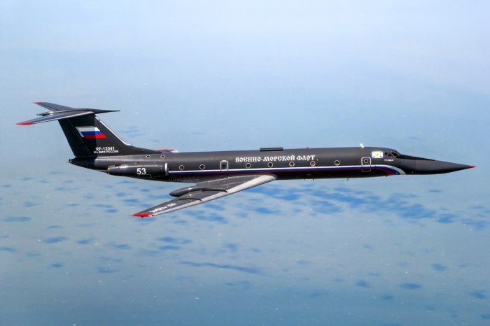 Ту-134 УБЛ черная Жемчужина