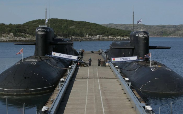 Подводные лодки проекта 667бдрм «Дельфин»