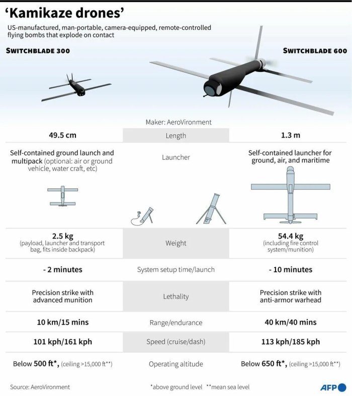 БПЛА Switchblade 300