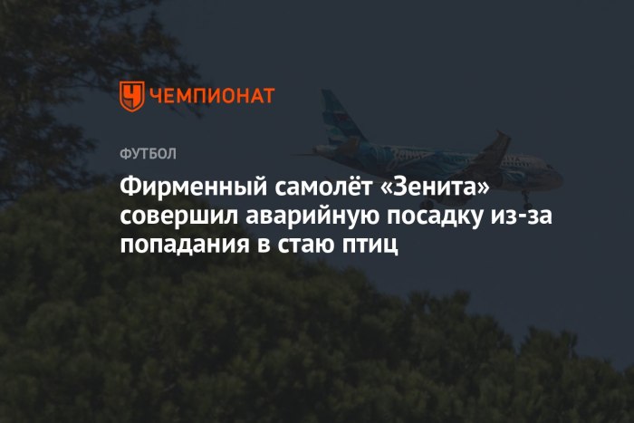 Самолет Зенита