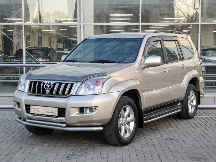 Cruiser Prado 120