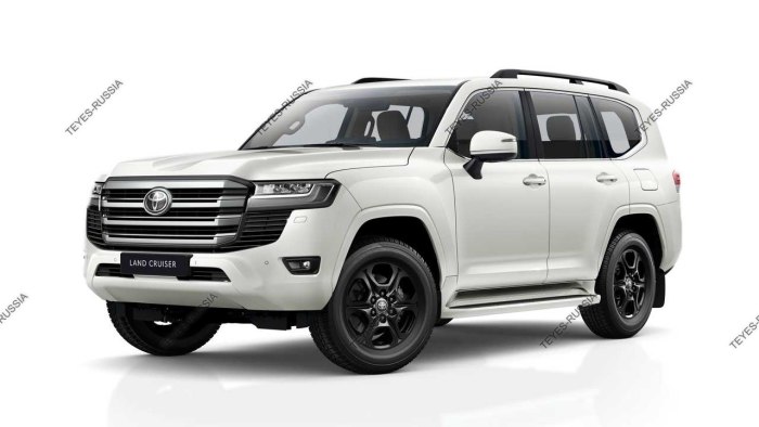 Land Cruiser 300 2022