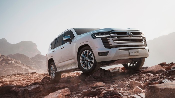 Land Cruiser 300 2024