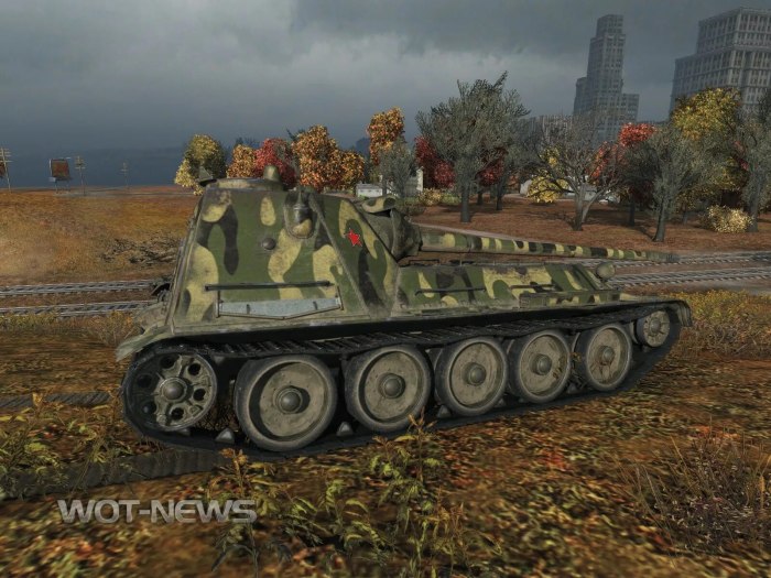 Су 100 y