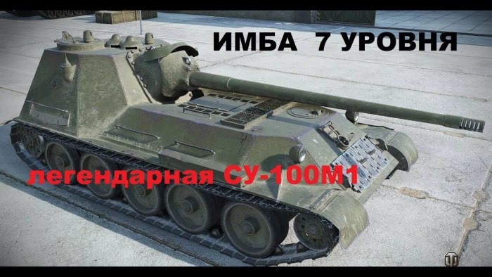 Су 100м1 блиц